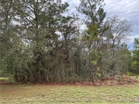 19 Dahlia Ct N, Homosassa, FL 34446