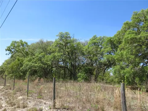 5439 W Oakhill St, Dunnellon, FL 34433