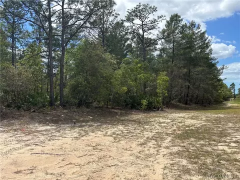 6520 N Redmond Ct, Dunnellon, FL 34433