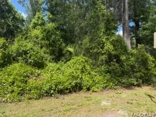 6475 E Seneca St, Inverness, FL 34452 photo 3