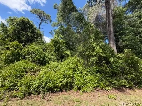 6475 E Seneca St, Inverness, FL 34452