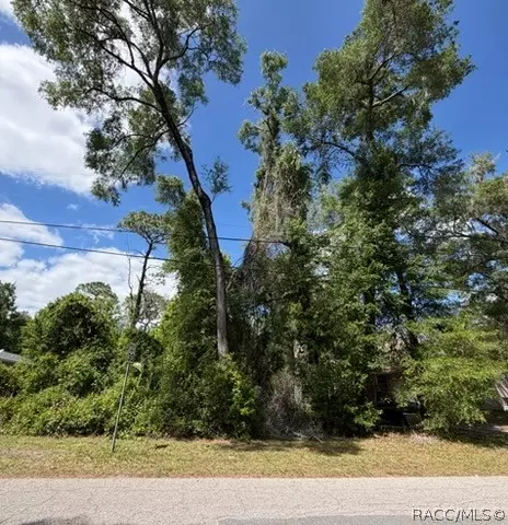 6475 E Seneca St, Inverness, FL 34452 photo 2