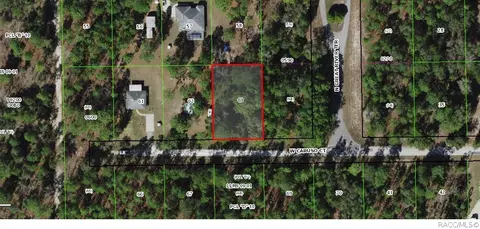6185 W Caruso Ct, Dunnellon, FL 34433