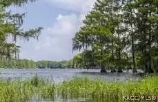 4025 N Bluewater Dr, Hernando, FL 34442 photo 29