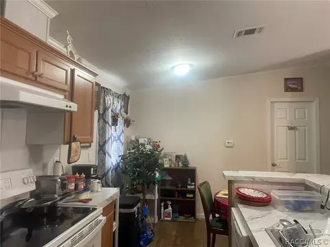 4025 N Bluewater Dr, Hernando, FL 34442 photo 13