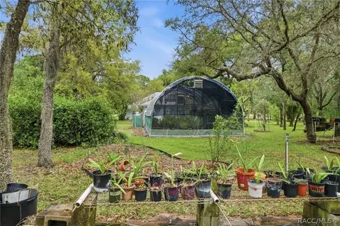 Exterior - 794 E Reehill St, Lecanto, FL 34461 photo 12 of 16