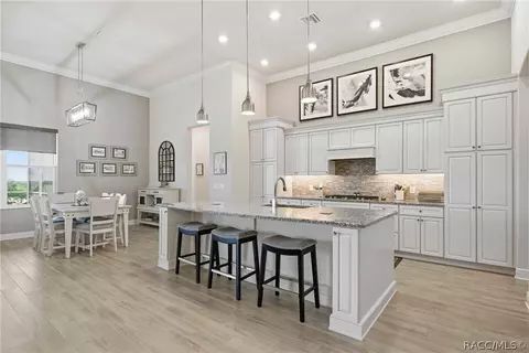 Kitchen - 2210 N Peakview Loop, Hernando, FL 34442 photo 7 of 10