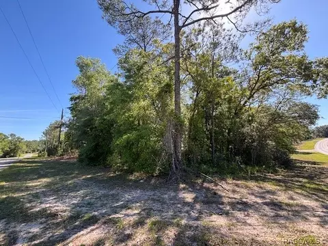 10251 N Adler Dr, Citrus Springs, FL 34434