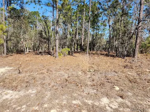 1037 W Almont Pl, Other, FL 34434