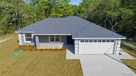 11 Bay Pl, Ocklawaha, FL 32179