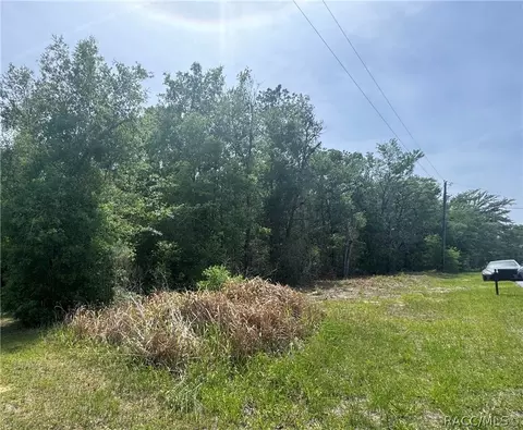 2493 W Magenta Dr, Dunnellon, FL 34434
