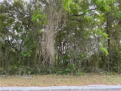 1656 W Beach Plum Dr, Citrus Springs, FL 34434
