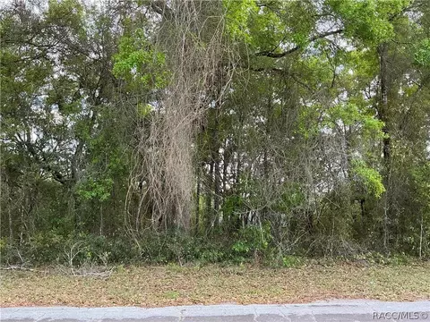 1656 W Beach Plum Dr, Citrus Springs, FL 34434