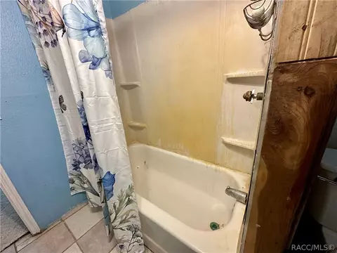 Bath - 3249 E Buffalo Ln, Hernando, FL 34442 photo 2 of 2