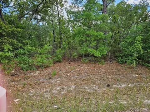 1681 W Skyline Dr, Dunnellon, FL 34434