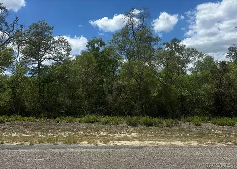 8036 N Wayside Ave, Dunnellon, FL 34433