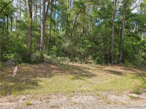 767 E Byrd Loop, Dunnellon, FL 34434