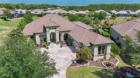 View/Area - 1083 W Pointer Loop, Hernando, FL 34442 photo 4 of 12