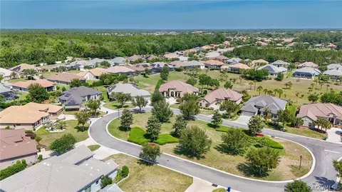 View/Area - 1083 W Pointer Loop, Hernando, FL 34442 photo 6 of 12