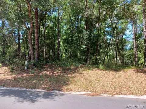917 Birch Ave, Inverness, FL 34452