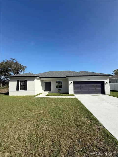 11128 N G Martinelli Blvd, Citrus Springs, FL 34433