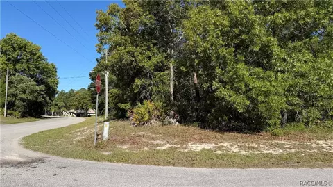24 Saintpaulia St, Homosassa, FL 34446