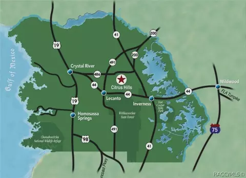 View/Area - 494 E Charleston Ct, Hernando, FL 34442 photo 8 of 8