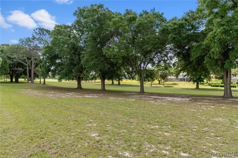 Exterior - 494 E Charleston Ct, Hernando, FL 34442 photo 10 of 13