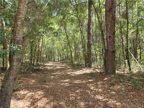 11953 N Glenview Ave, Dunnellon, FL 34434