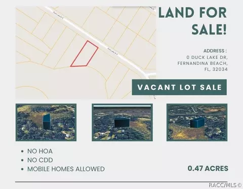 0 Duck Lake Dr, Fernandina Beach, FL 32034