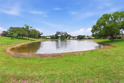1239 W Beagle Run Loop, Hernando, FL 34442 photo 45
