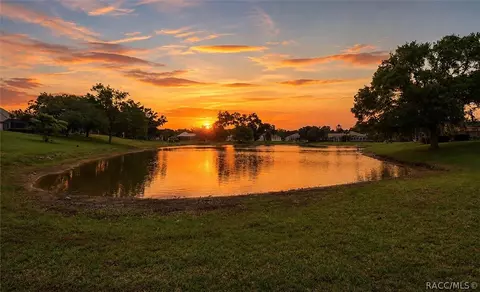 1239 W Beagle Run Loop, Hernando, FL 34442 photo 62