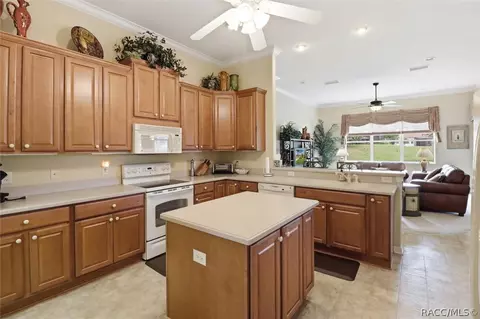 1239 W Beagle Run Loop, Hernando, FL 34442 photo 17