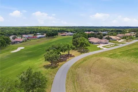 View/Area - 1640 N Jimmie Foxx Path, Hernando, FL 34442 photo 1 of 10