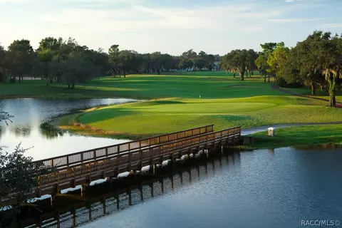 View/Area - 1640 N Jimmie Foxx Path, Hernando, FL 34442 photo 7 of 10