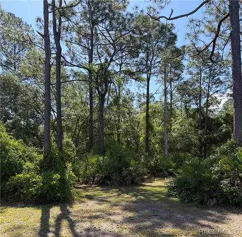 00 SE 180th Avenue Rd, Ocklawaha, FL 32179