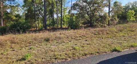 3420 W Hayward Ln, Citrus Springs, FL 34433
