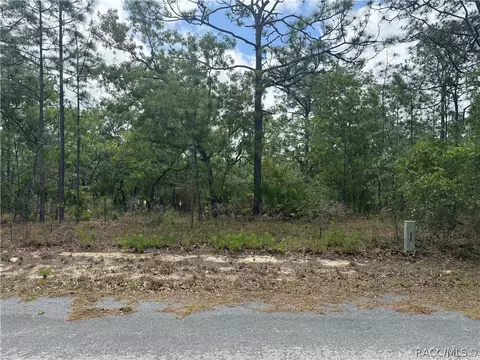 7 Drypetes Ct W, Homosassa, FL 34446