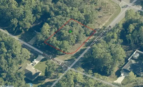 11019 Morrell Dr, Citrus Springs, FL 34434
