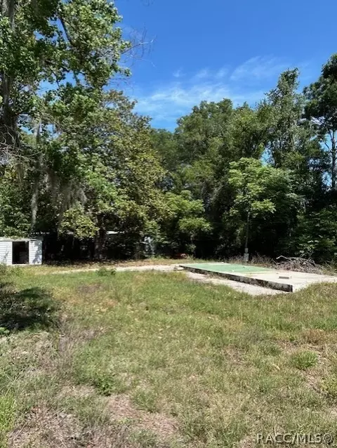 255 S Scarboro Ave, Lecanto, FL 34461