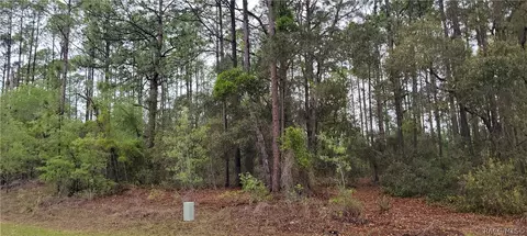 2851 W Higgins Pl, Dunnellon, FL 34433