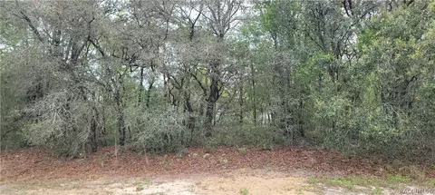 3028 W Randolph Ln, Citrus Springs, FL 34433