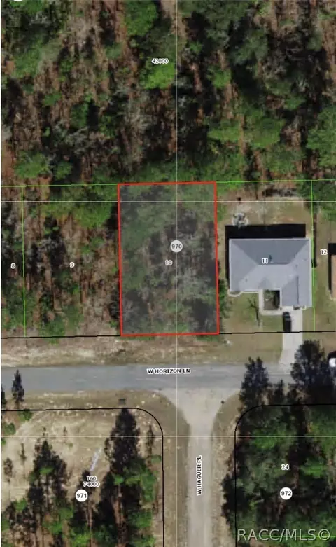 713 W Horizon Ln, Citrus Springs, FL 34434