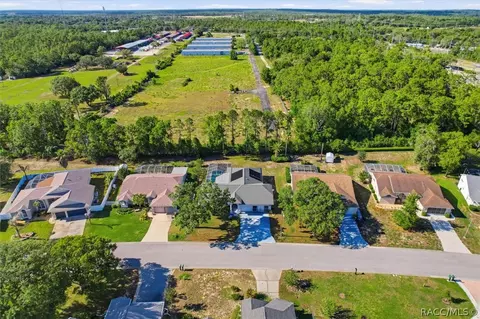 View/Area - 374 N Turkey Pine Loop, Lecanto, FL 34461 photo 5 of 6