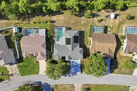View/Area - 374 N Turkey Pine Loop, Lecanto, FL 34461 photo 4 of 6