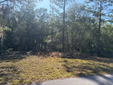 6162 W Bovio Ct, Dunnellon, FL 34433