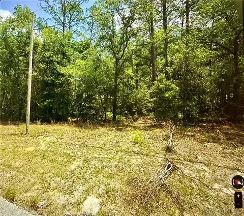 11303 N Schult Ter, Citrus Springs, FL 34434