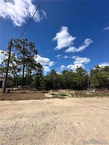 3239 W Kirkwood Pl, Dunnellon, FL 34433