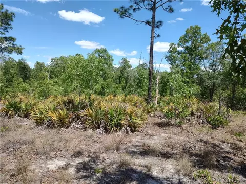 7165 W August Ln, Dunnellon, FL 34433