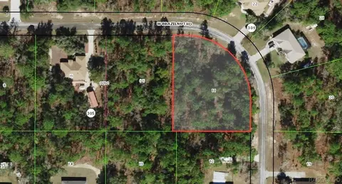 3070 W Brazilnut Rd, Beverly Hills, FL 34465